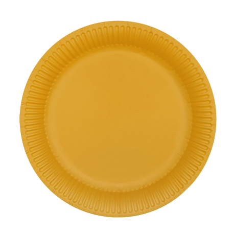 Disposable Plate Set